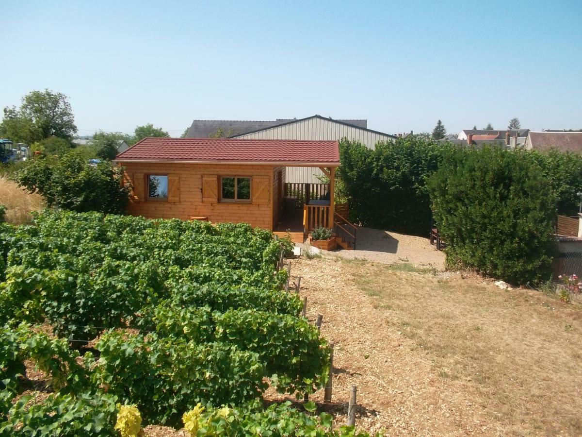 Chalet La Noisetiere Armalou Pouilly-sur-Loire Luaran gambar
